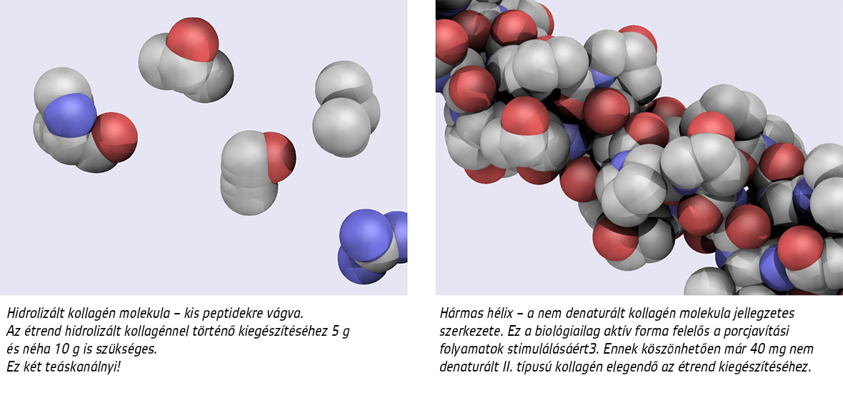 Natural Pharmaceuticals Movisan™ Collagen II Hidrolizált kollagén péptidmolekulái és tripla hélix szerkezetű, biológiailag aktív kollagén molekula.